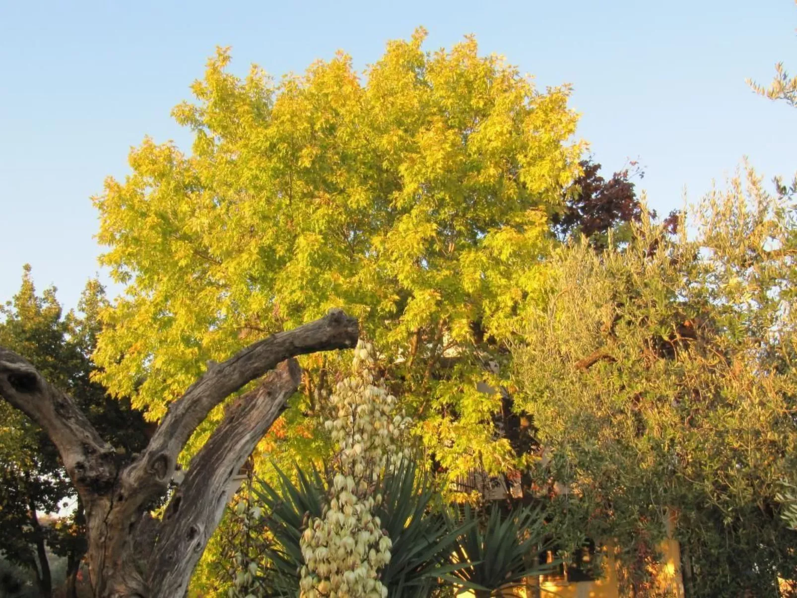 TERRAZZE SUL GARDA-Inside
