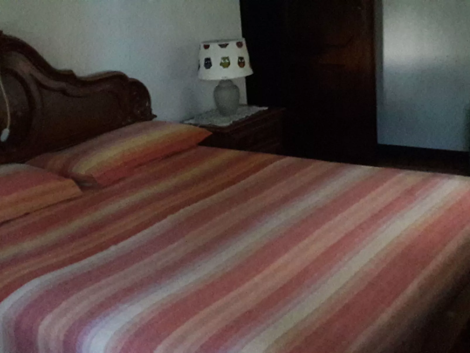 Auf einem ummauerten Grundstück-Dedans