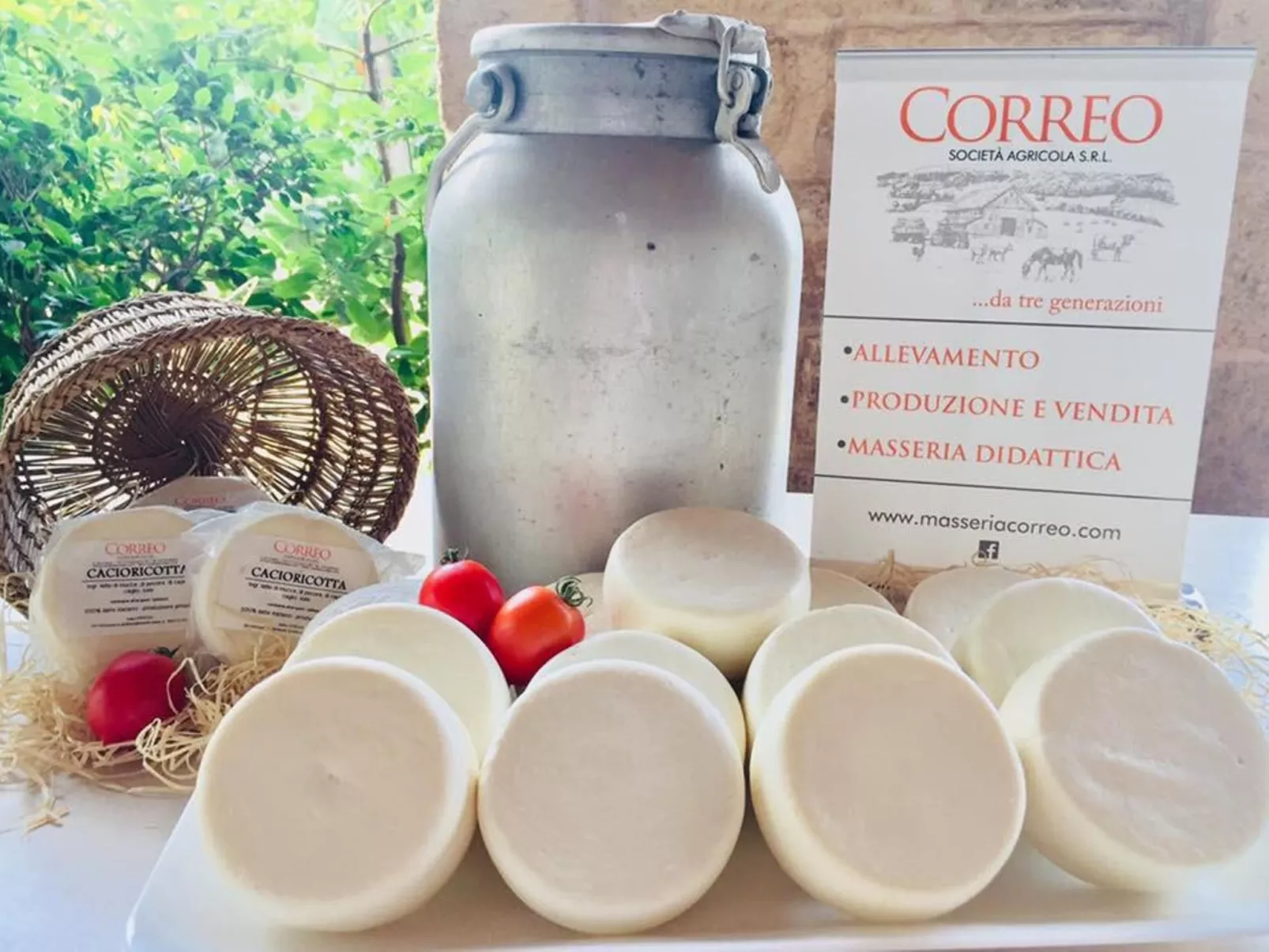 Masseria Pagliamonte-Dedans