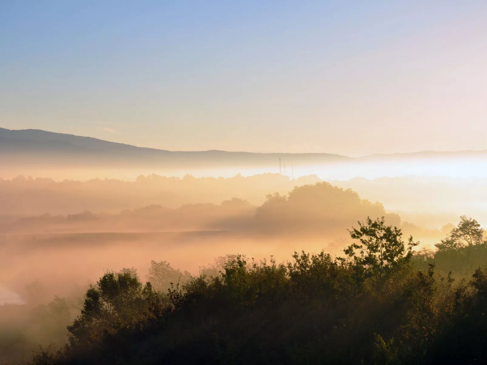 Sonnenblume Wohnung-Inside