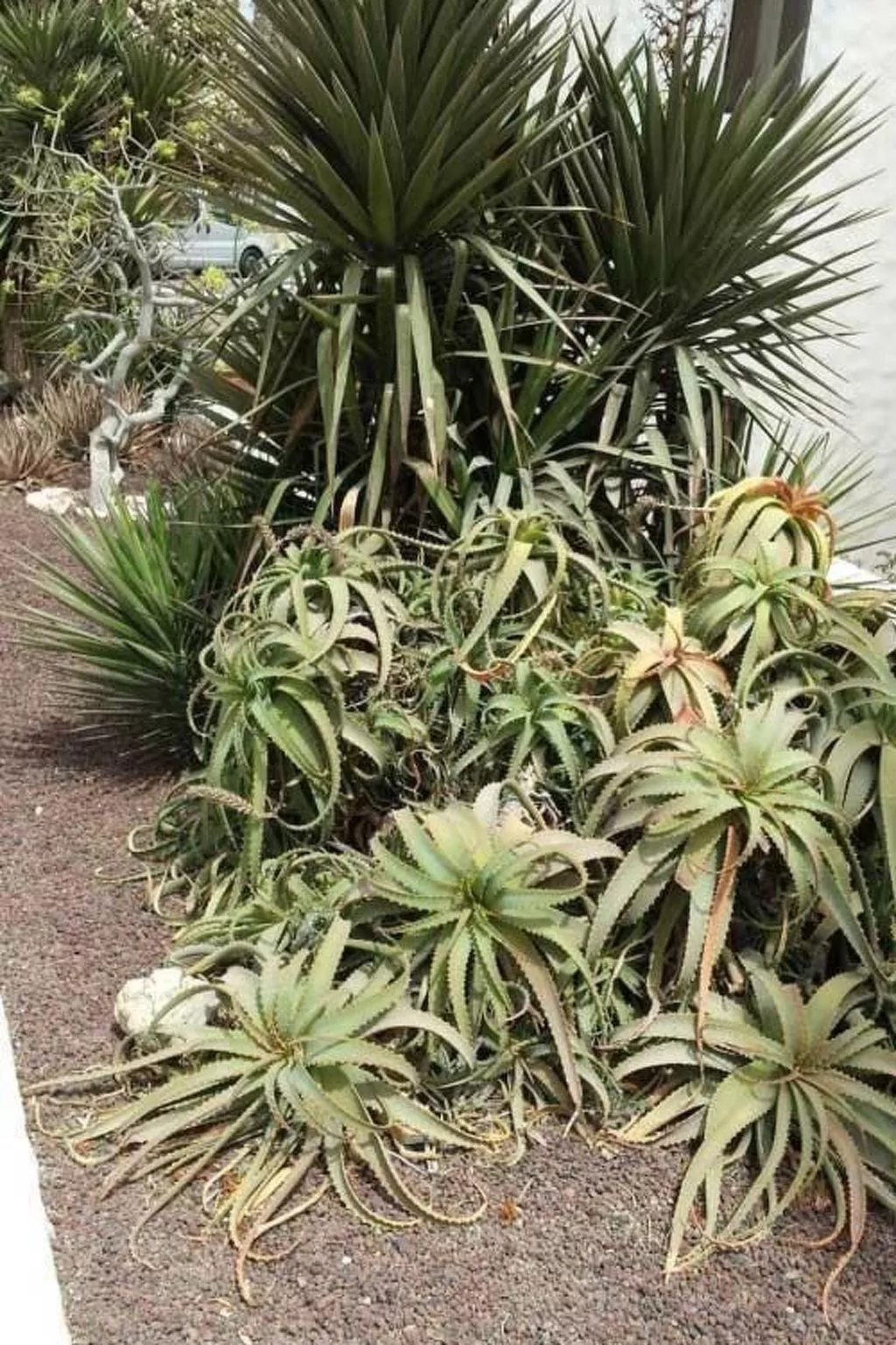 Wohnung "Costa Calma" mit gemeinschaftlichem Pool-Dedans