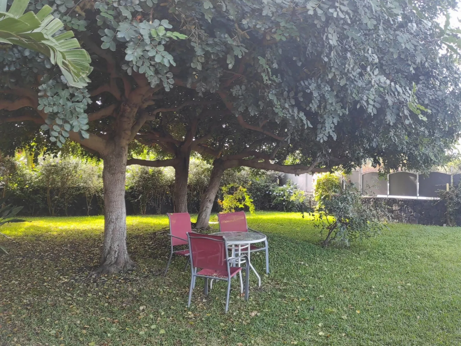 Einzimmerwohnung mit Terrasse-Inside