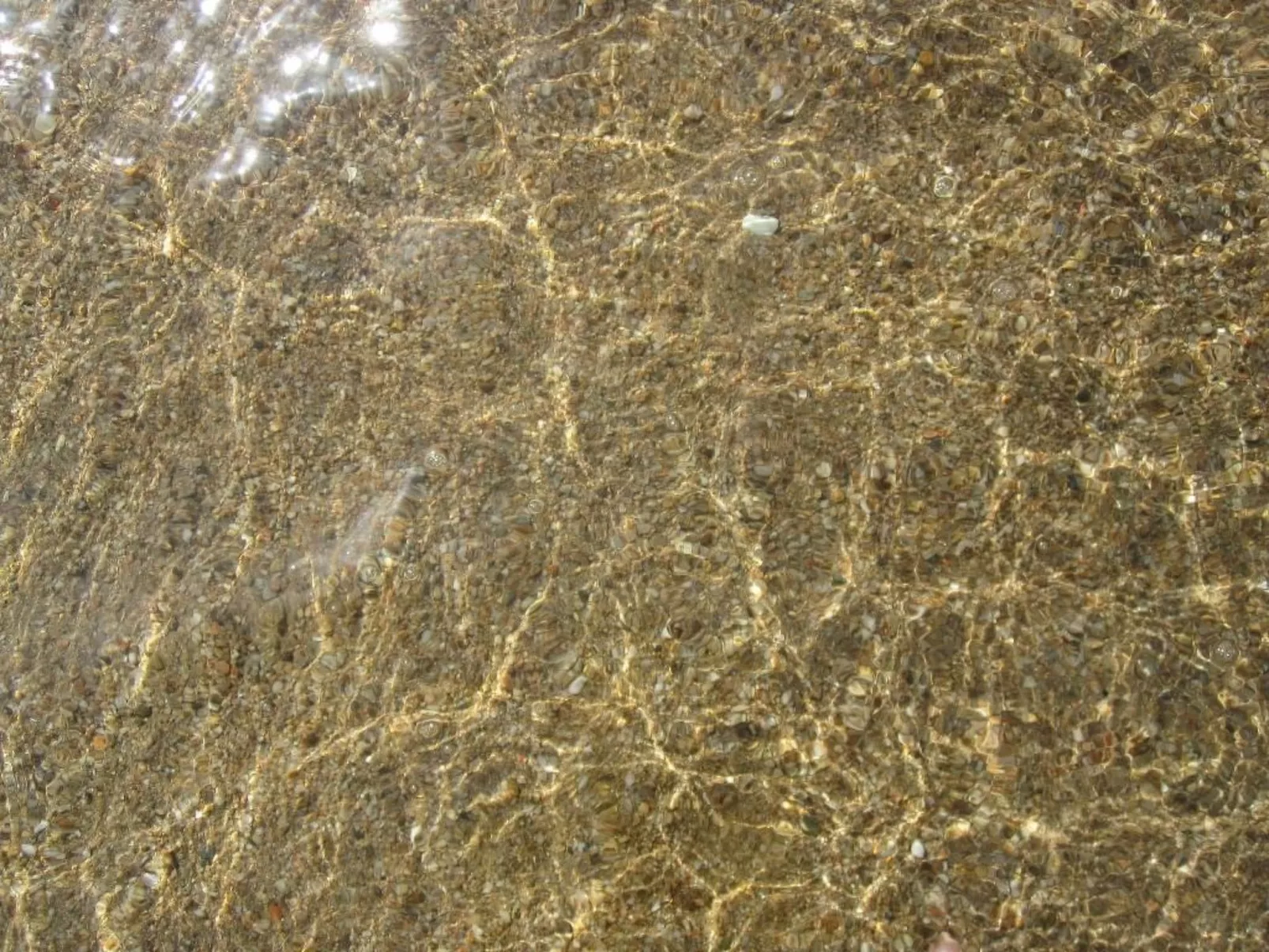 Charmante Wohnung Lungomare Cannigione-Dedans