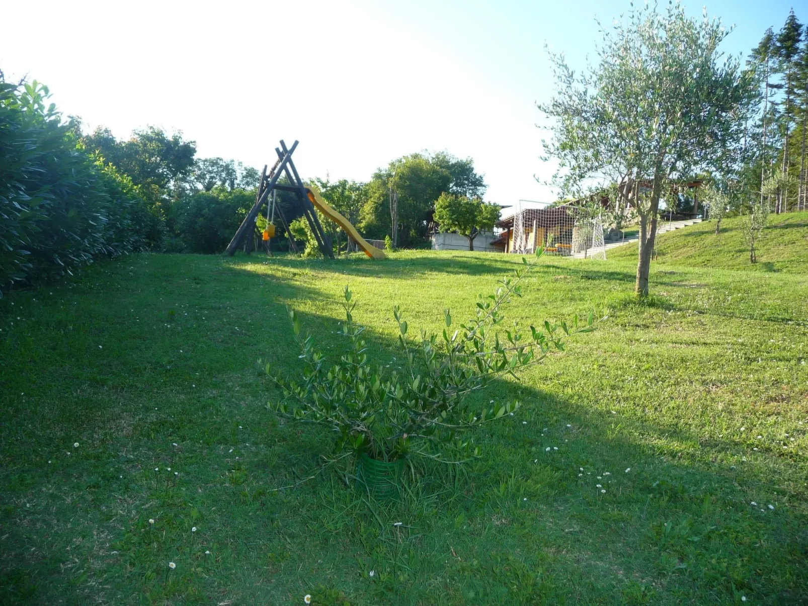 Fichtenhaus mit Schwimmbad zwischen Florenz und Arezzo-Dedans