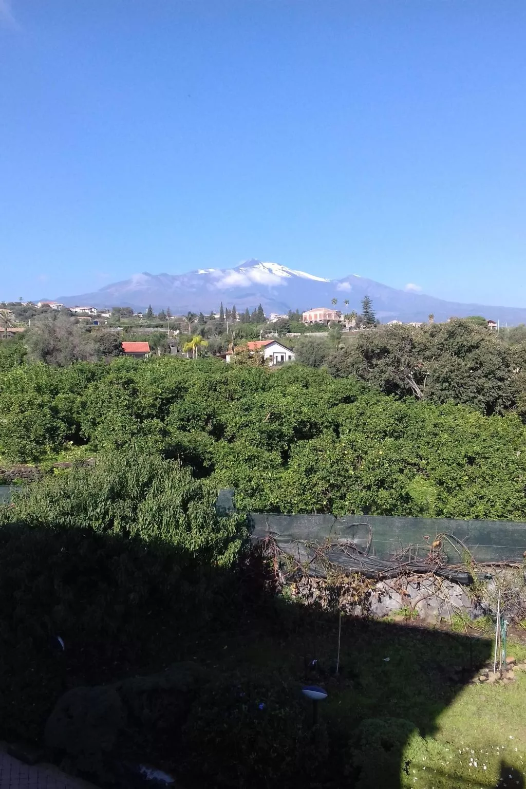 Villa delle Pomelie-Inside