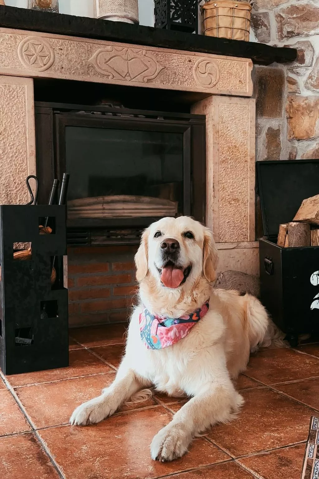 Jacuzzi, Kamin, Grill und spektakuläre Aussicht-Drinnen