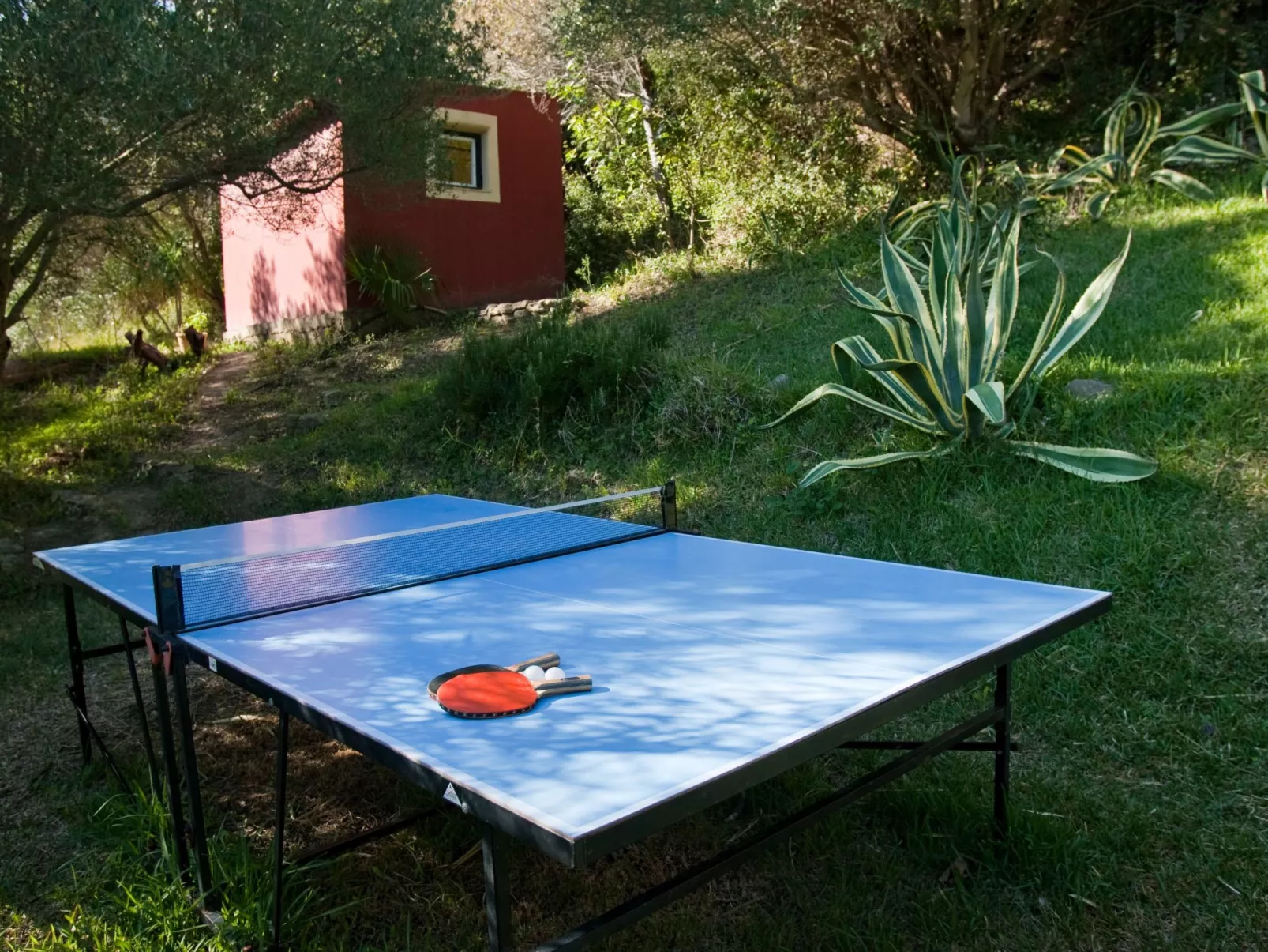 Landgut "Jacaranda" mit Terrasse-Image-tags.info