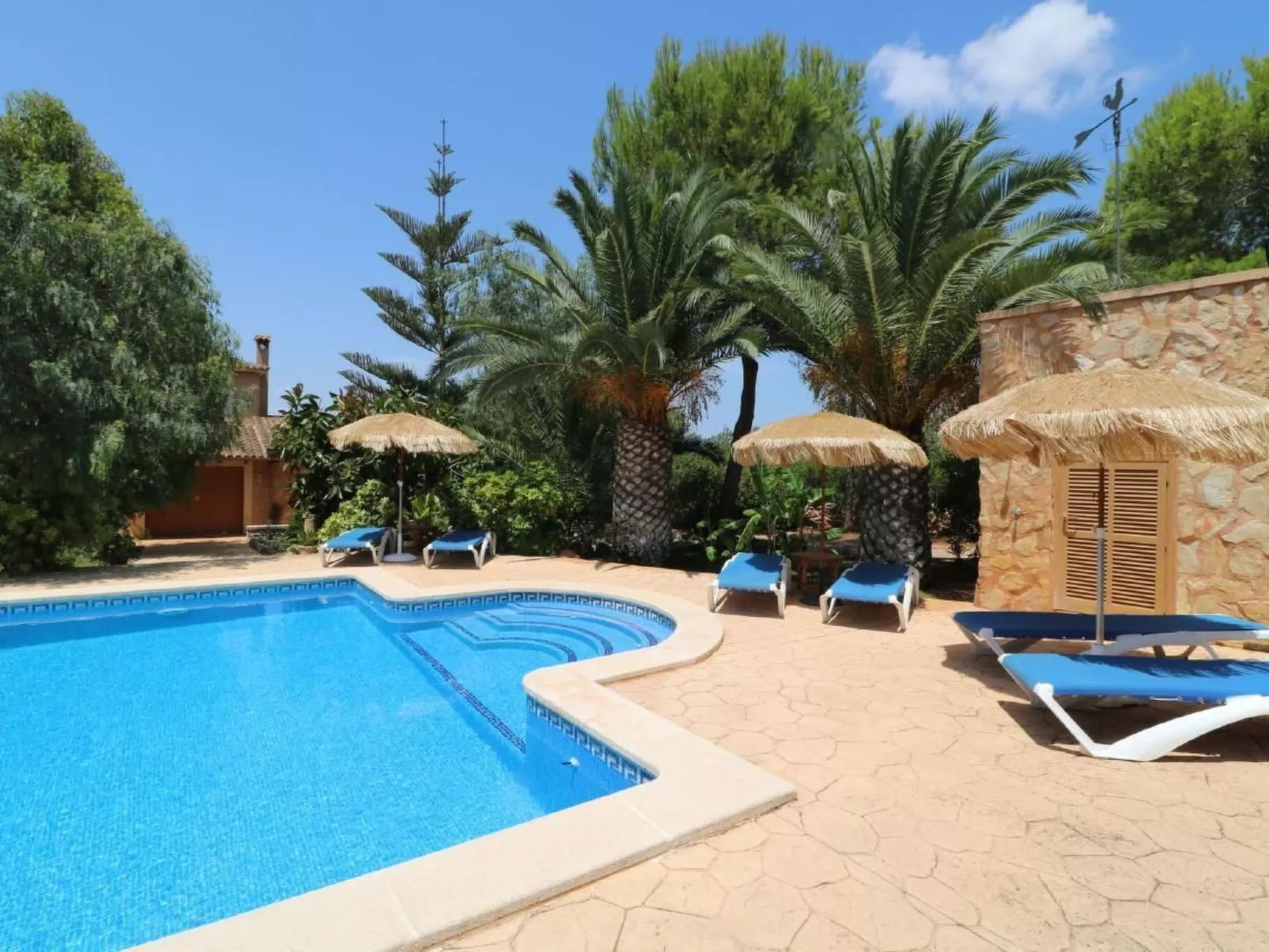 Fi. Camaron-Crestall-Dehors