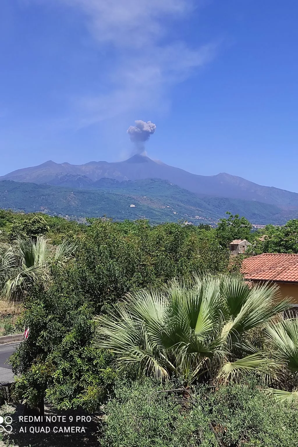 Le Palme in linera-Dedans