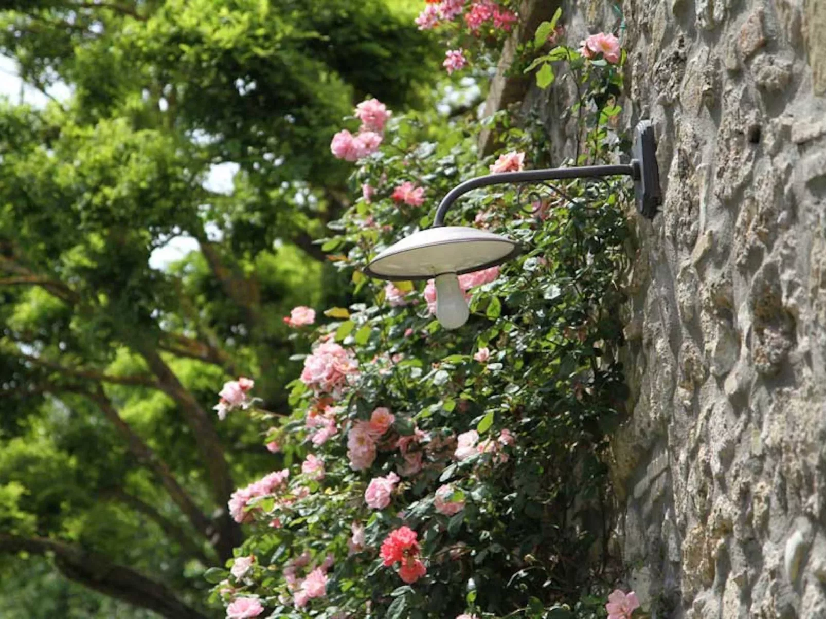 Studio für 2 bis 3 Personen-Outside