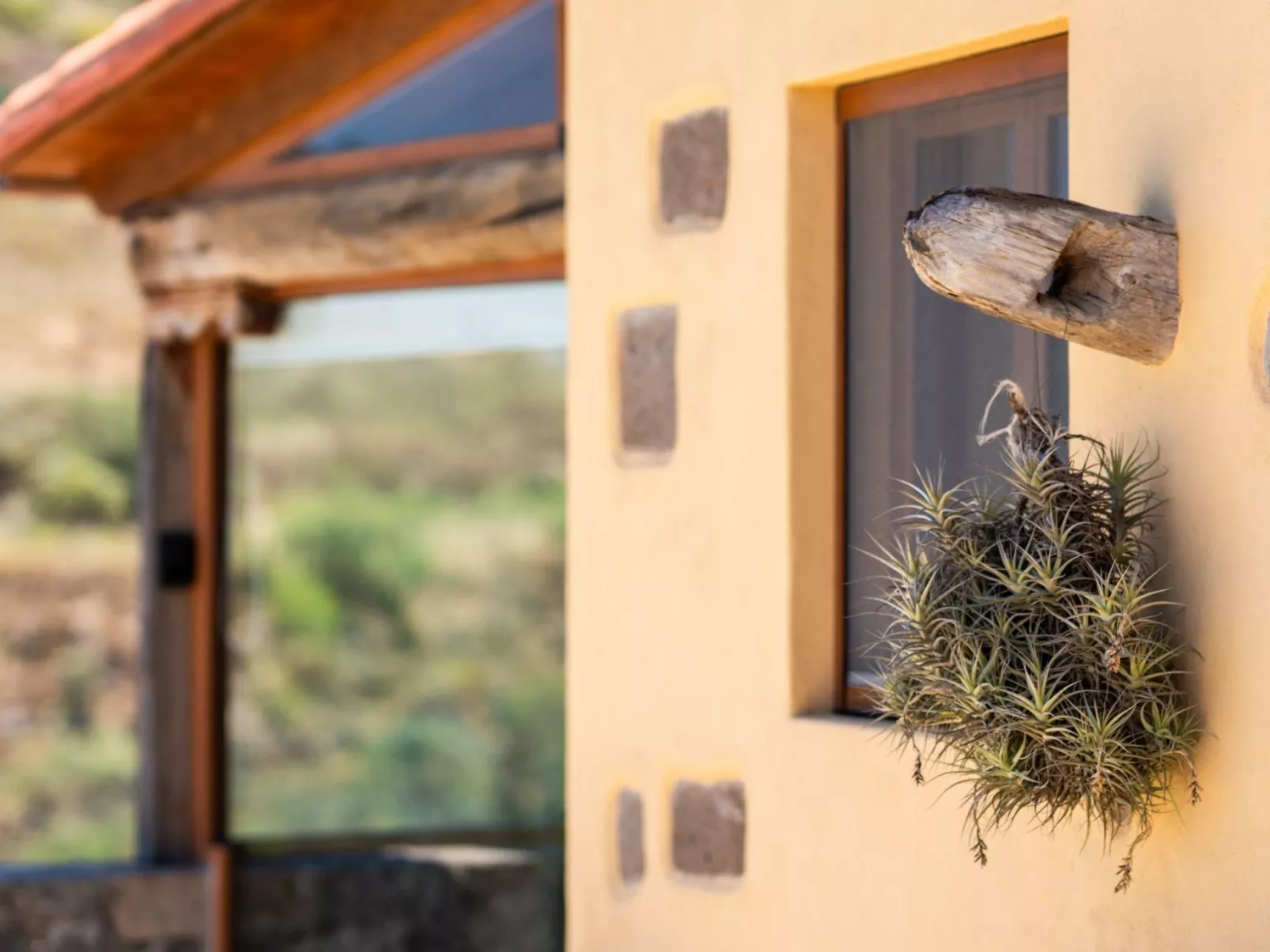 Tinamar 2-Image-tags.info