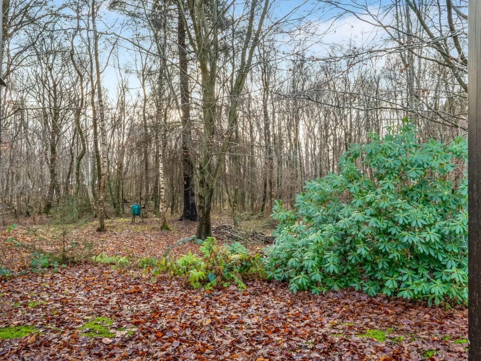 "Dreng" -  from the sea-Draußen