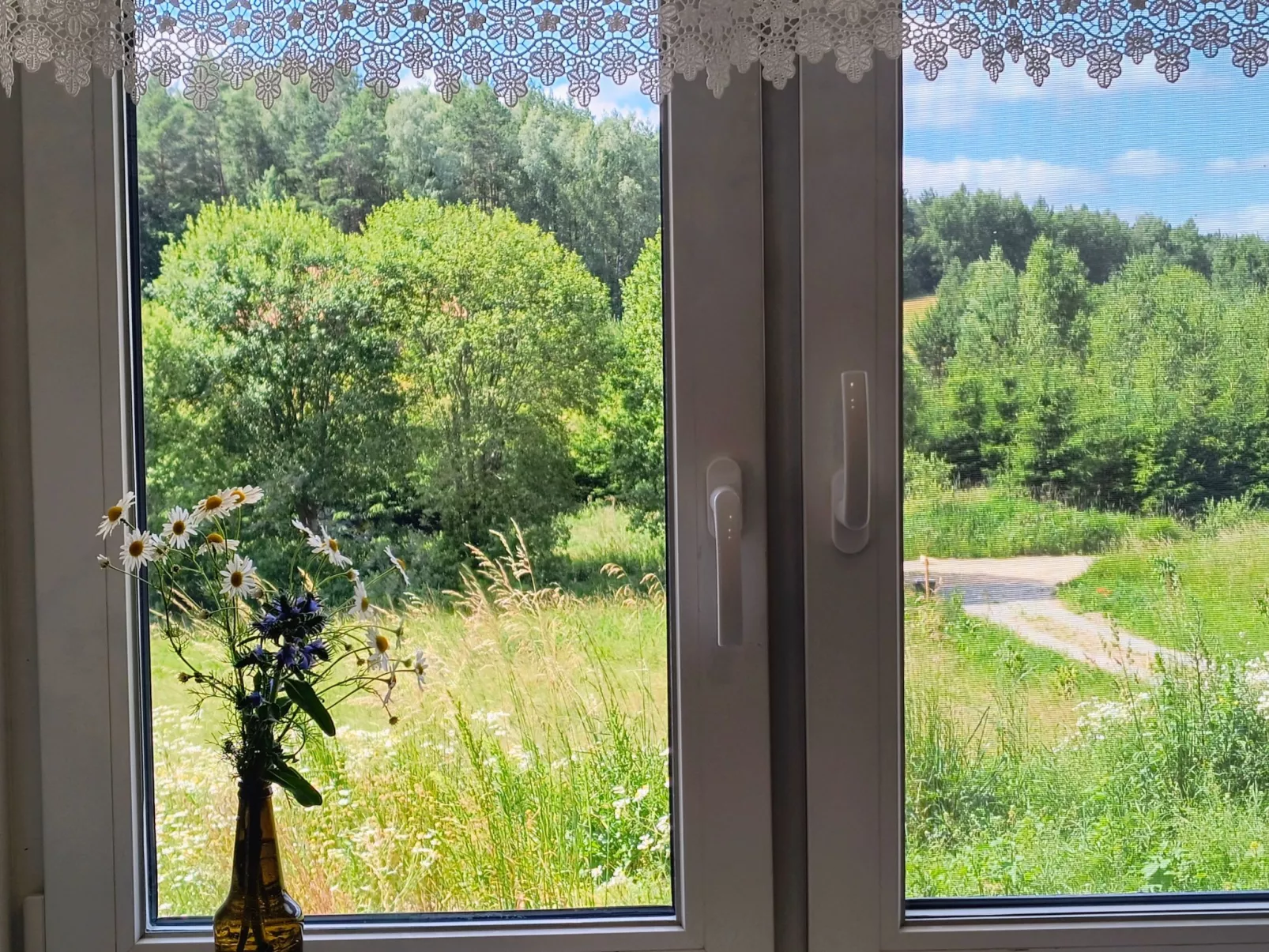 Vogelecke - abseits des Trubels und der Hektik-Drinnen