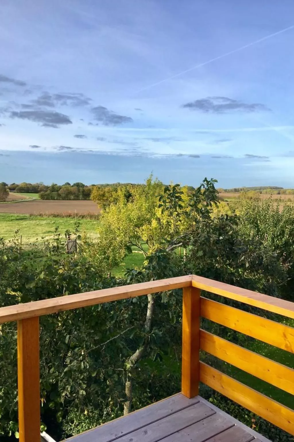 Helle Dachgeschosswohnung an der Flensburger Förde-Dehors