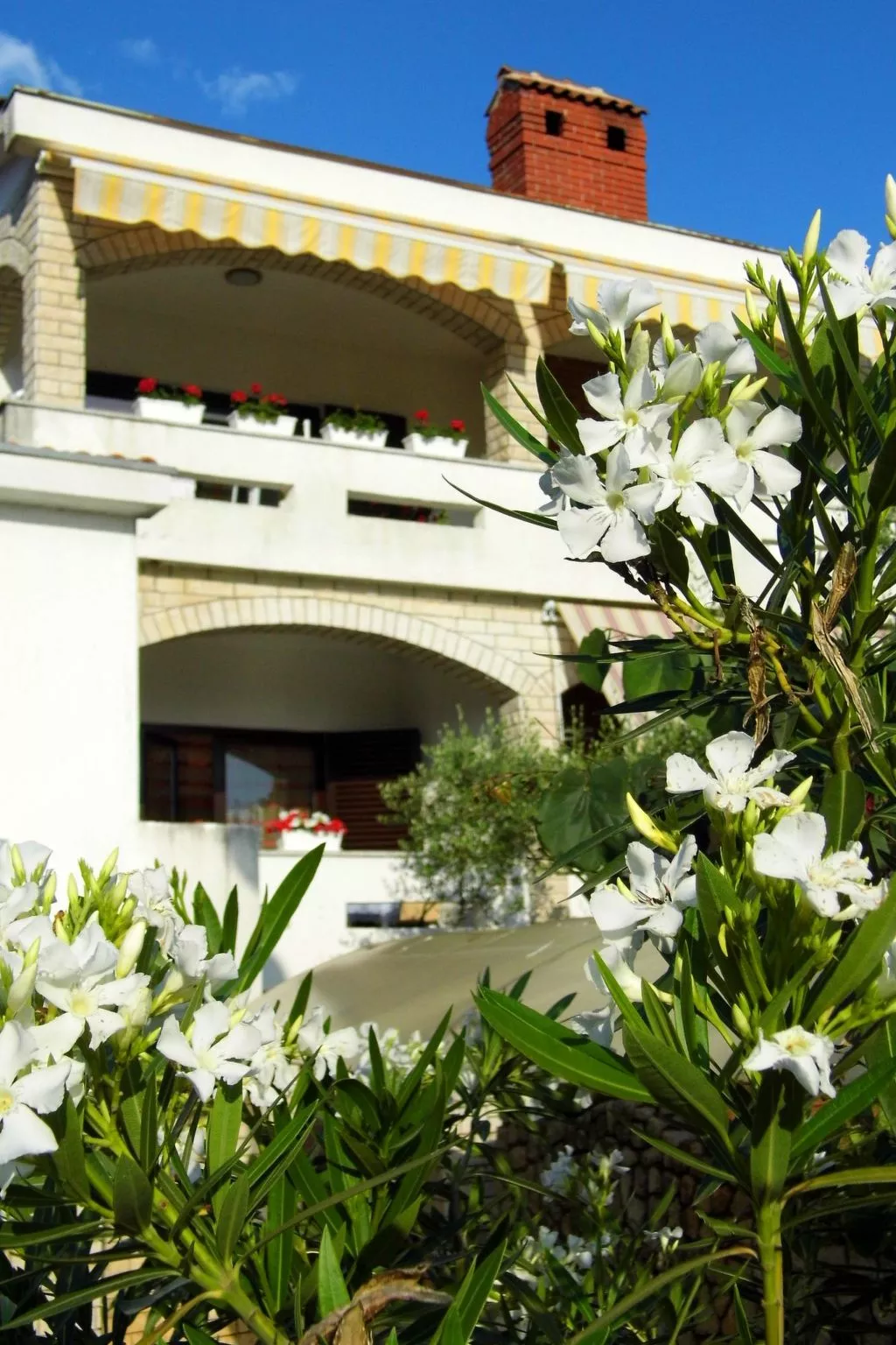 "Valentic 1"-Outside