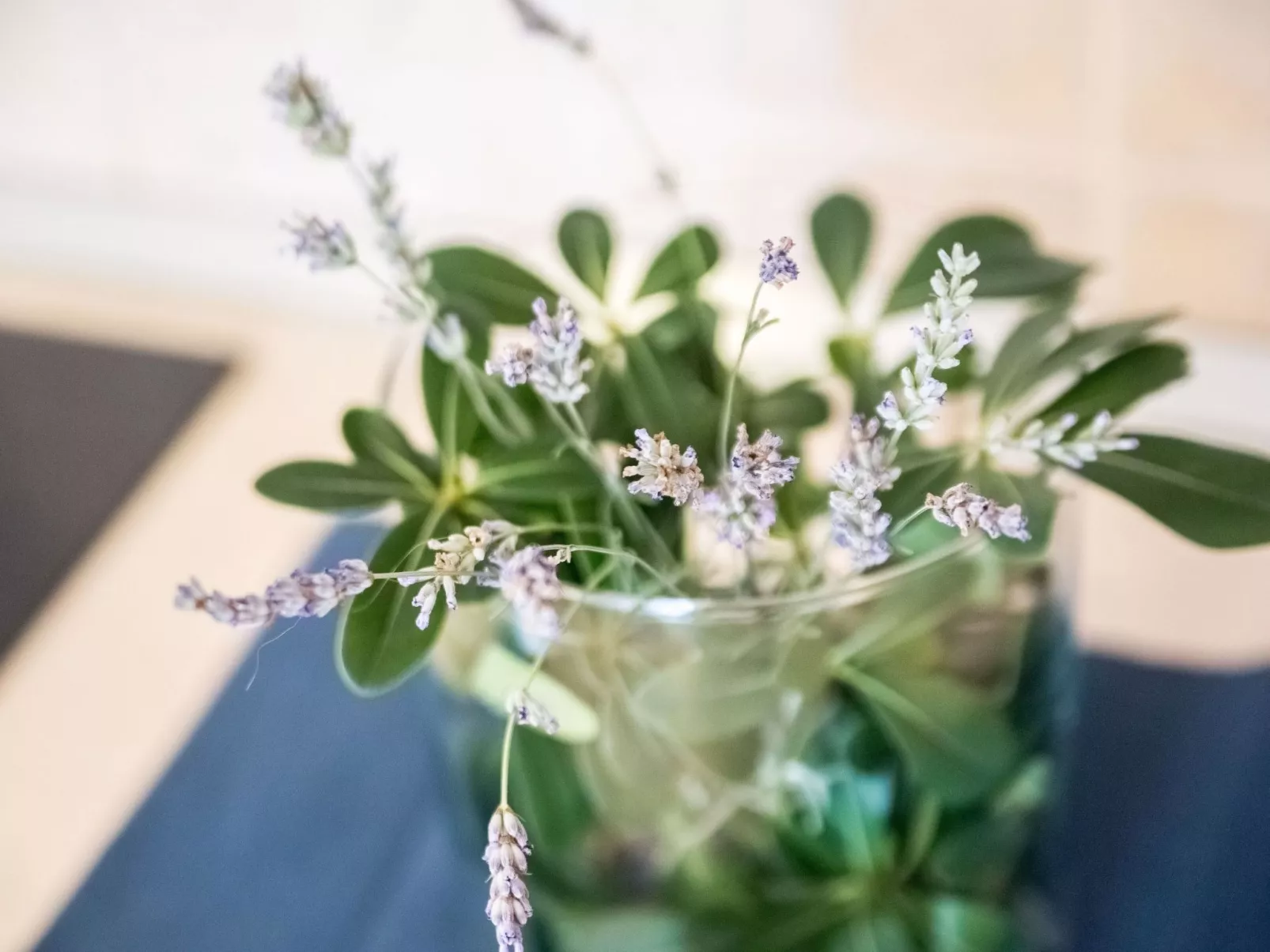 Wohnung für 6 Personen - Inside