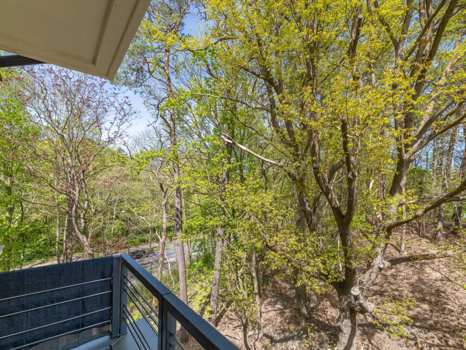 Dune 736-Image-tags.info