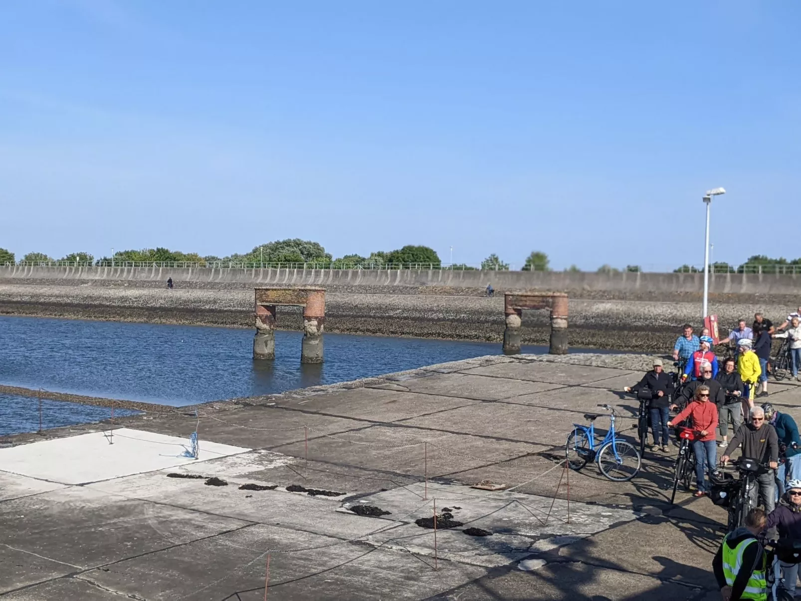 Eul in Butjadingen-Großwürden-Dehors