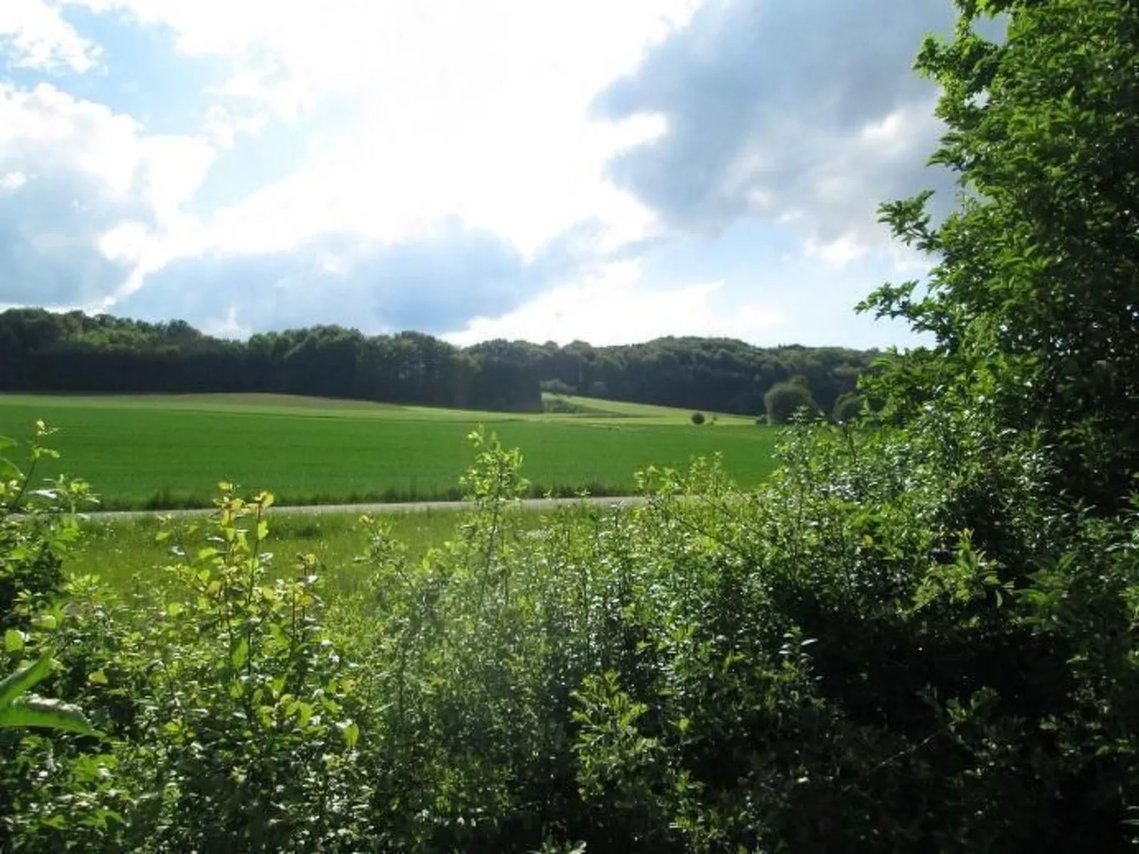 Wunderschönes Ferienhaus in Zainingen-Drinnen
