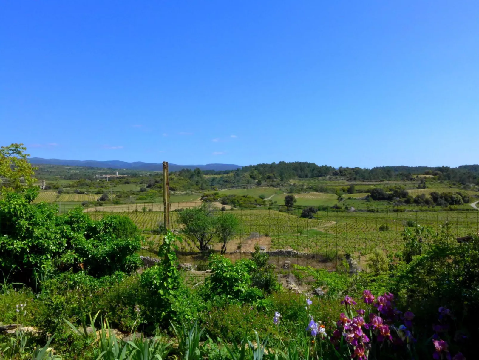 Angenehmes Ferienhaus für 5 Personen-Outside