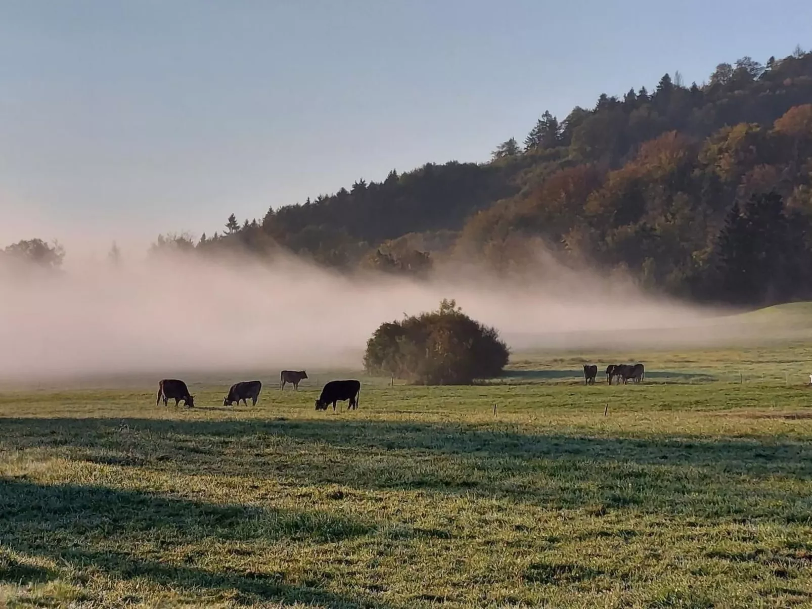 Historisches Riegel-Doppelbauernhaus-Drinnen