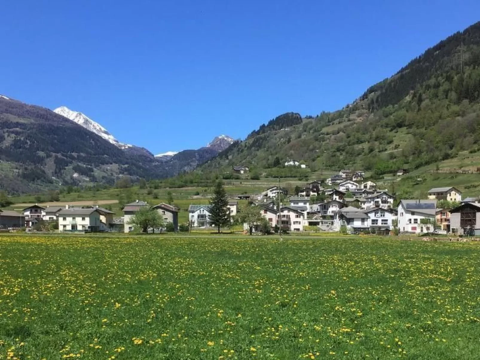 Wohnung mit Bergblick-Inside