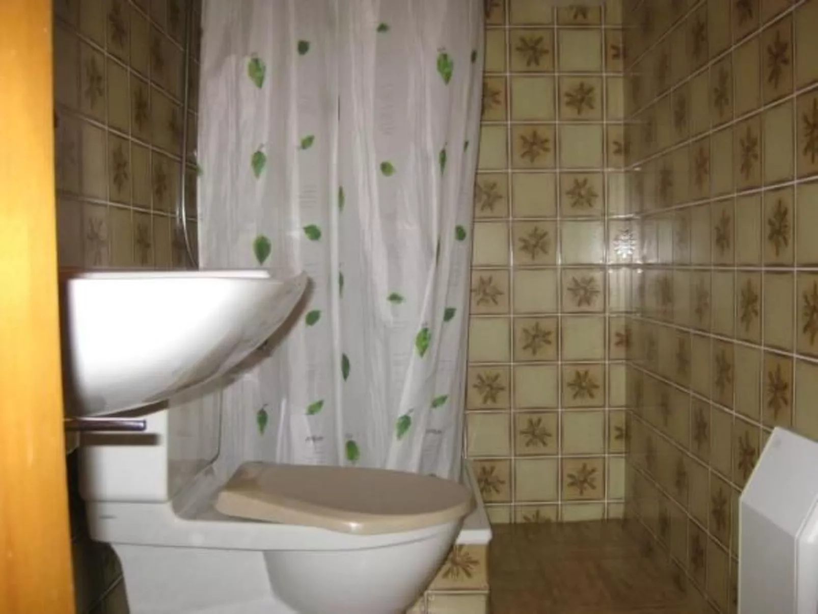 3 1/2 Zimmer-Wohnung in Salouf, oberhalb Savognin-Drinnen