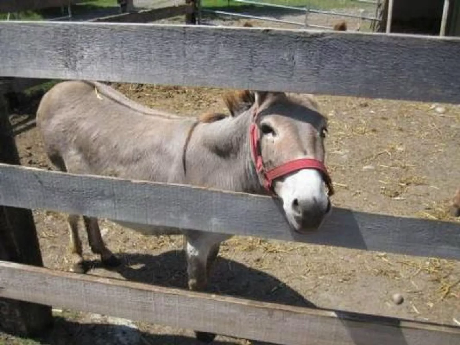 Farbhaus Bleiche-Image-tags.info