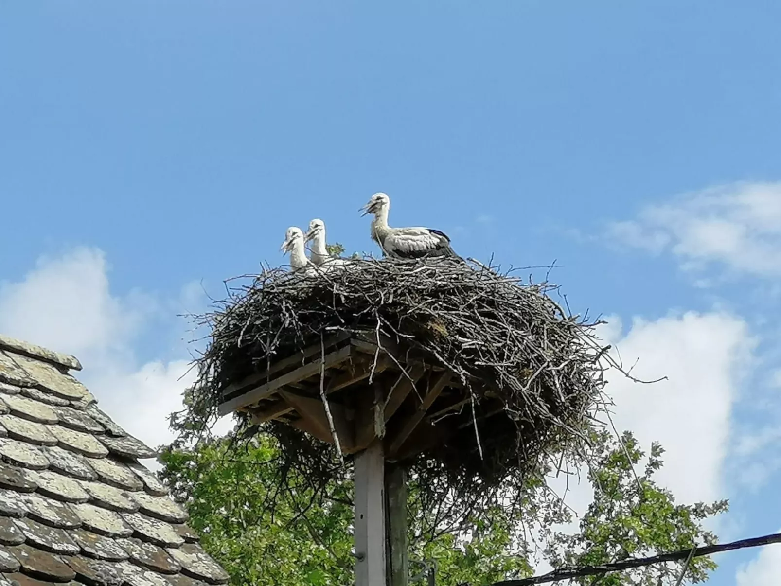Ländlicher Tourismus-Draußen