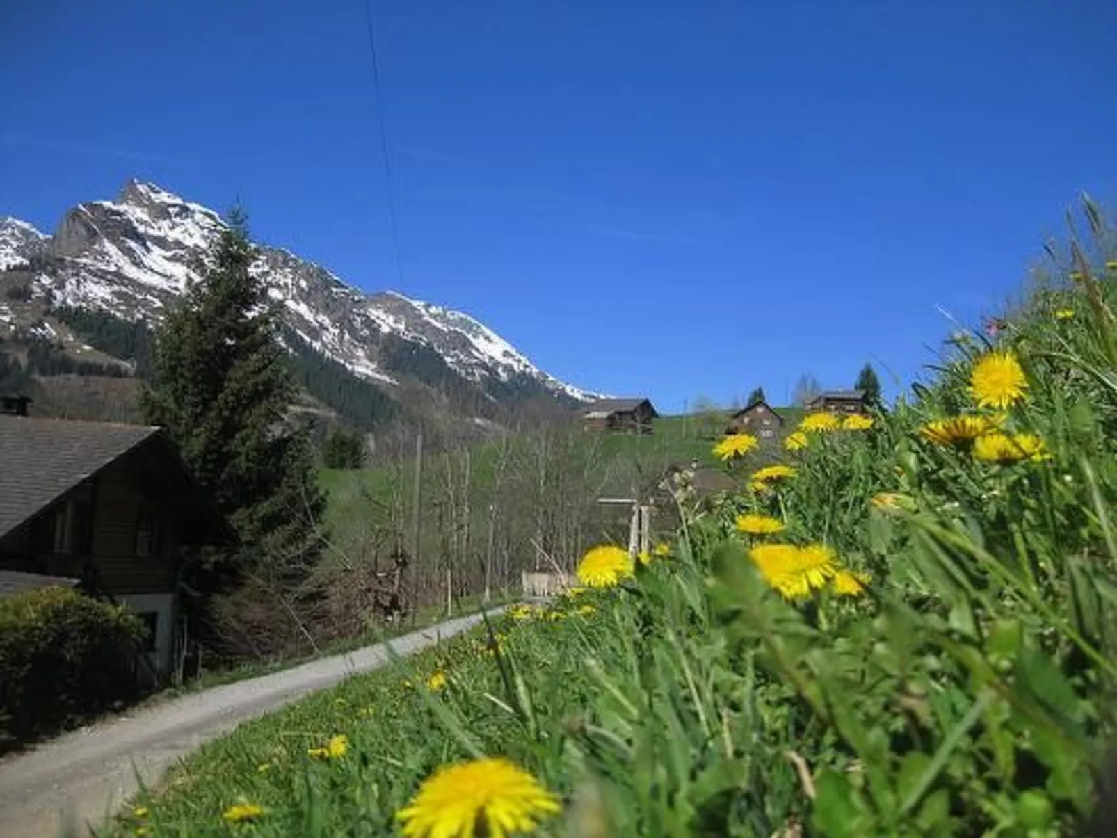 Weissenberge Gfell-Outside