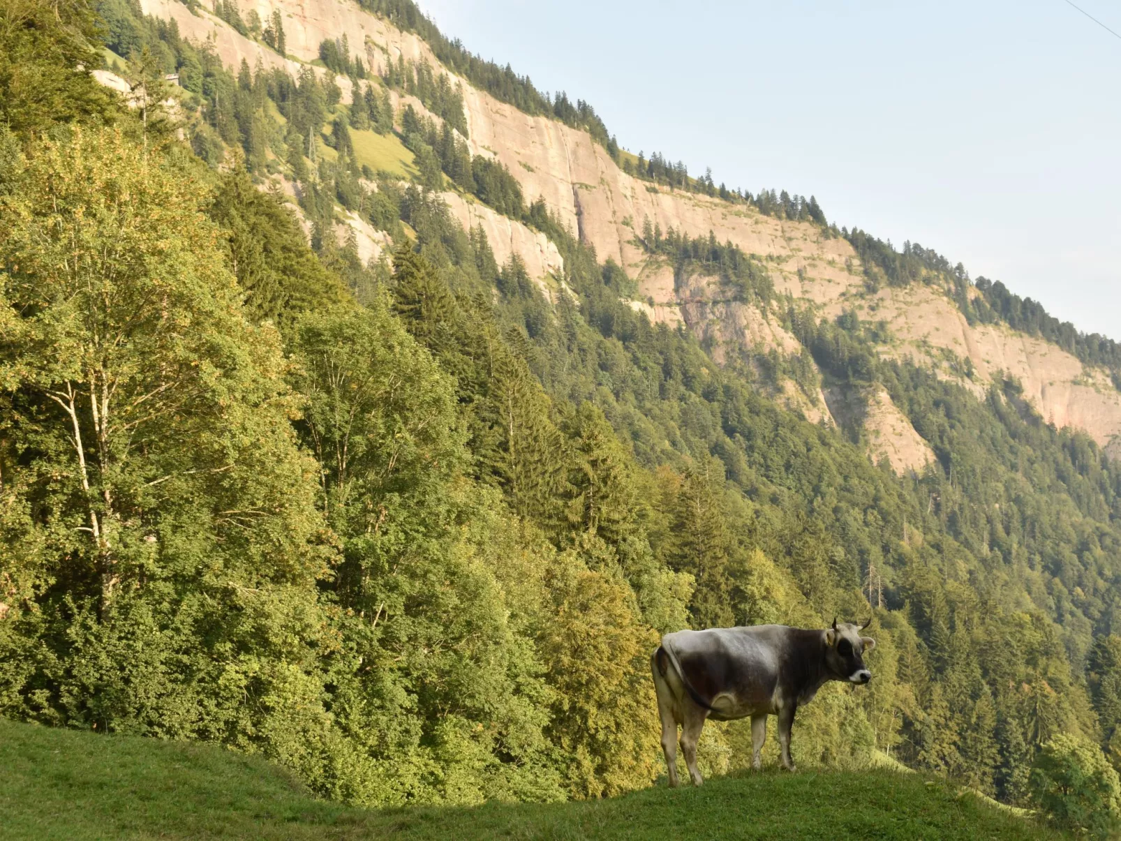 Mountain Nature Stay-Draußen