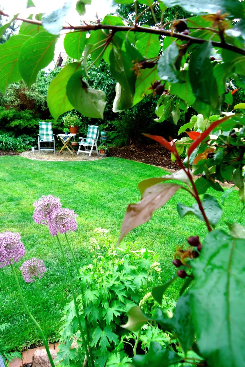 Apartment Royal - Dehors