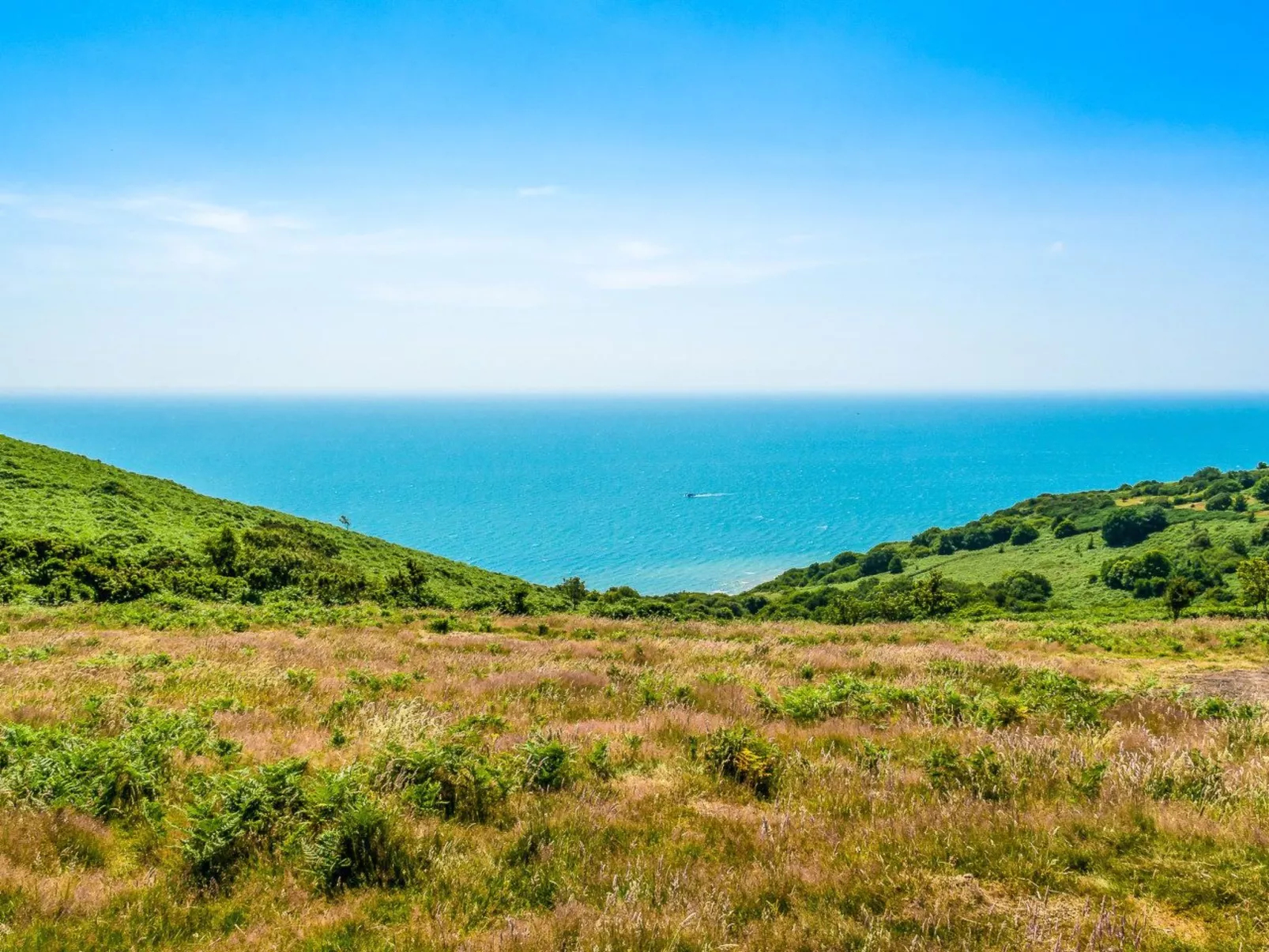 Schönes Ferienhaus in Hastings mit Whirlpool, Terrasse und Garten-Dedans