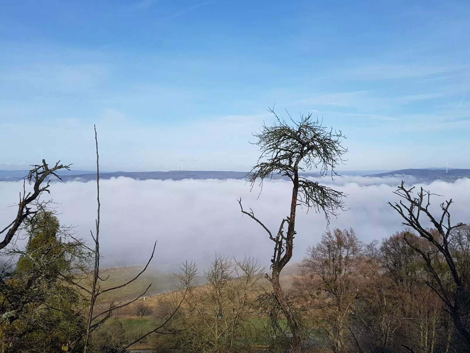 Amöneburg in Amöneburg-Dedans