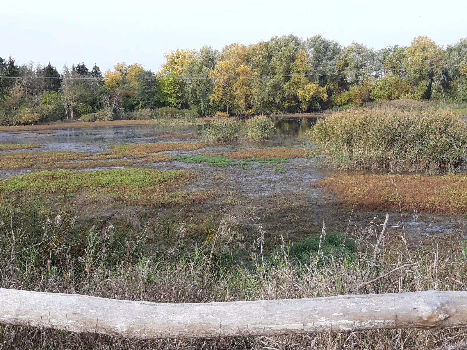 In Viereth mit Garten und Terrasse-Inside