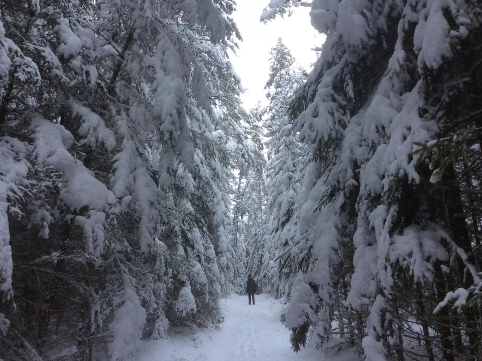 Mit einer umwerfenden Panoramaaussicht-Image-tags.info