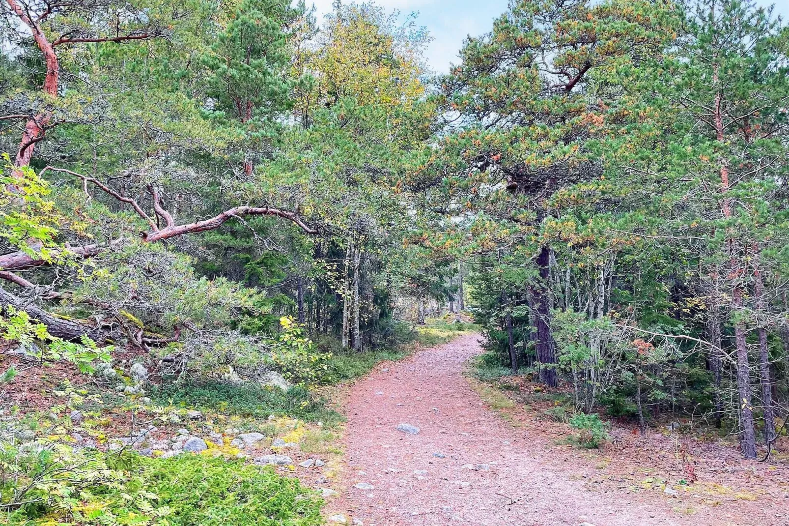 4 star holiday home in VÄDDÖ-By Traum-Not tagged