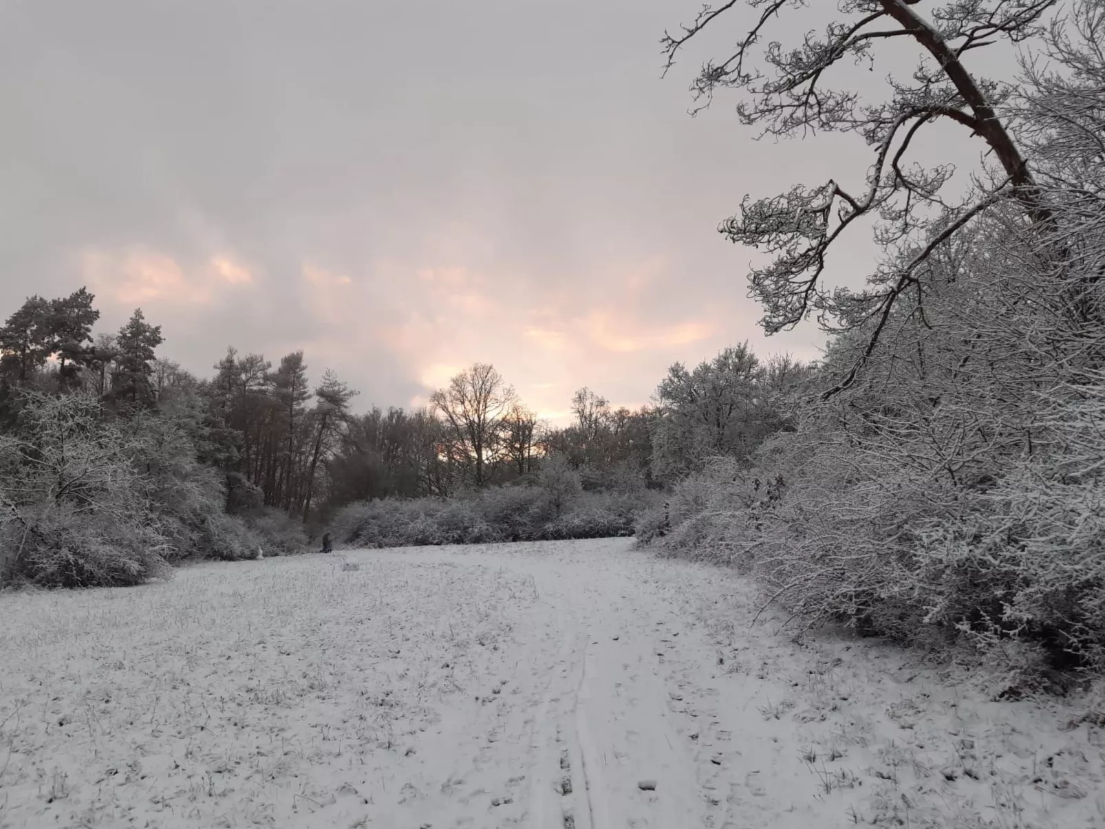 Fh Kimmelsbacher Hof-Draußen