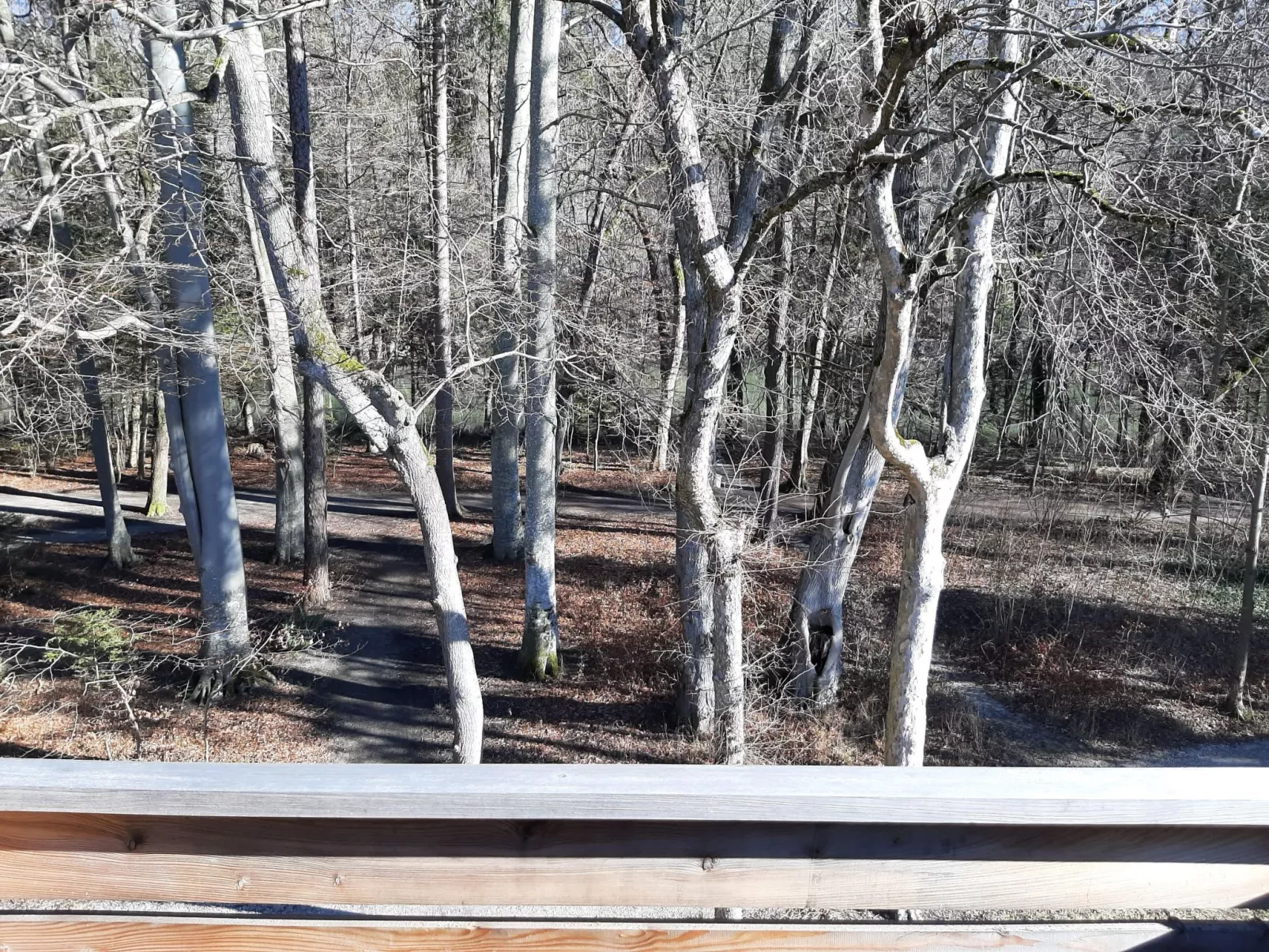 Lechrauschen Landsberg-Dedans