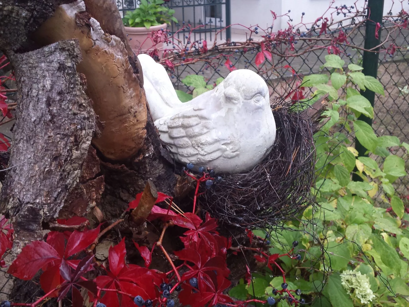 Mit Garten, Grill und Terrasse-Inside