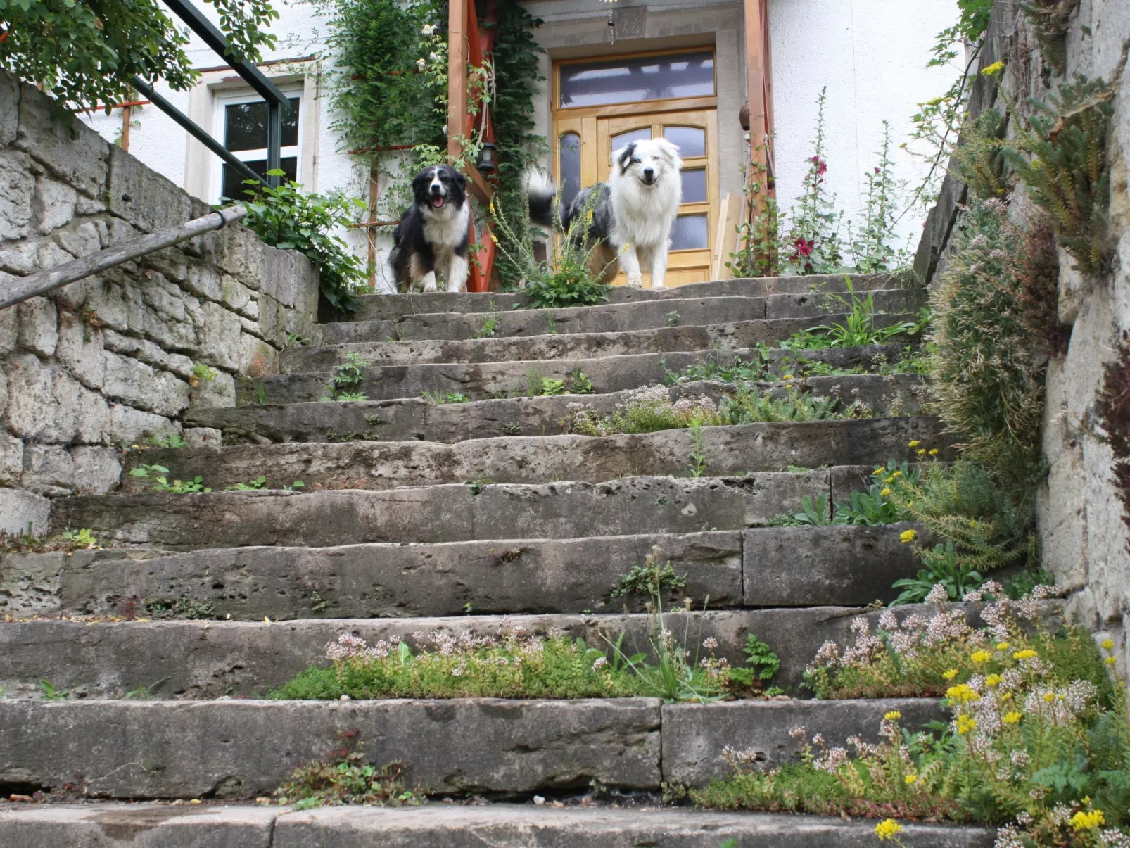 Kleine Fewo-Image-tags.info