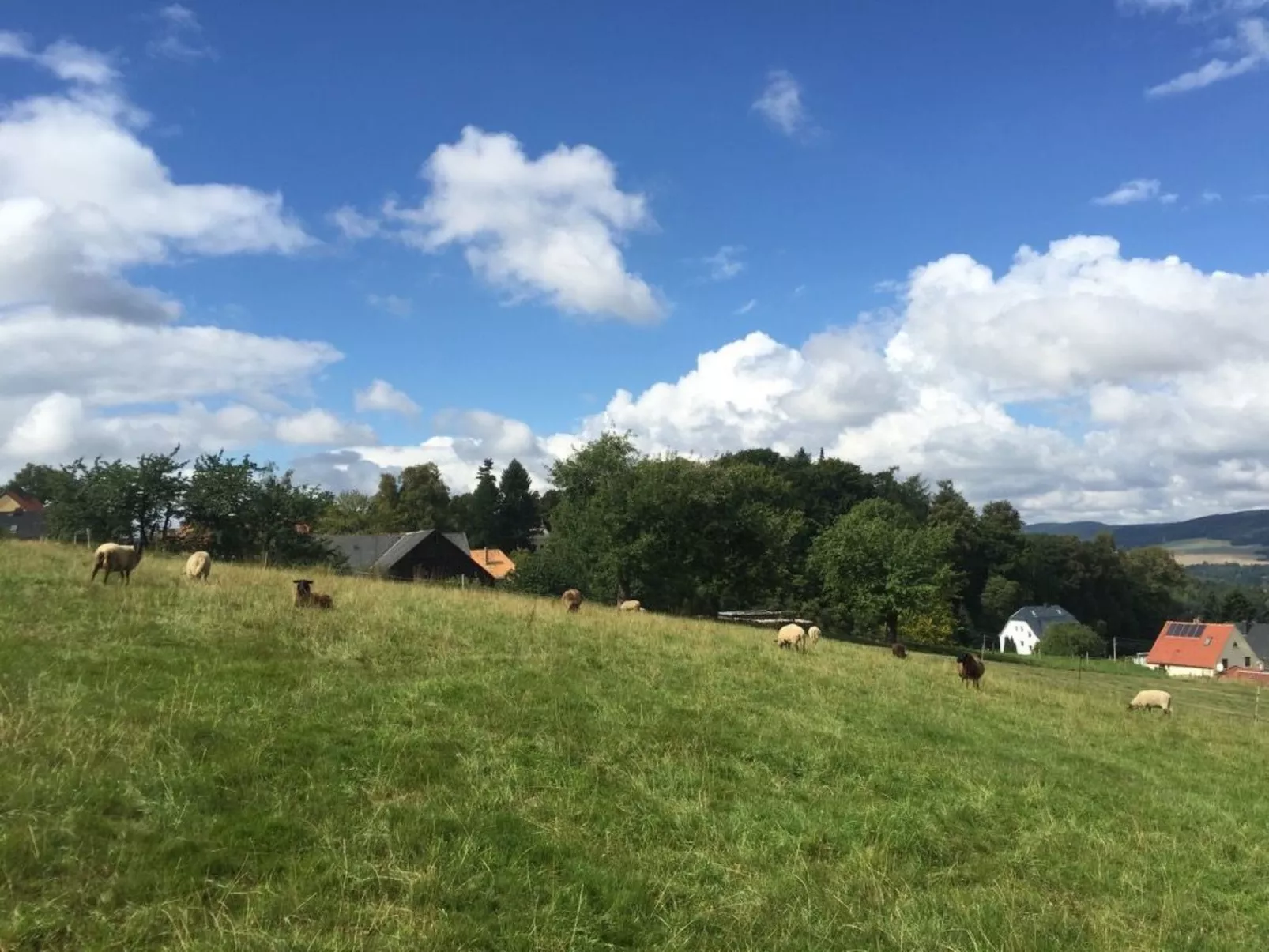 Helle und moderne Ferienwohnung mit Terrasse-Outside