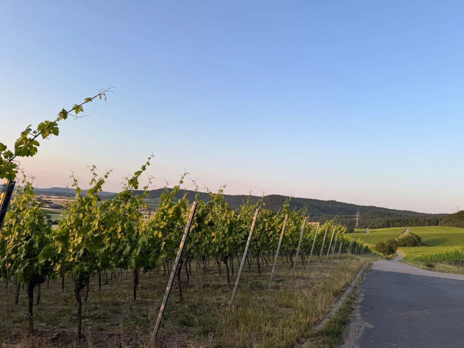 Panorama 180°-Dedans