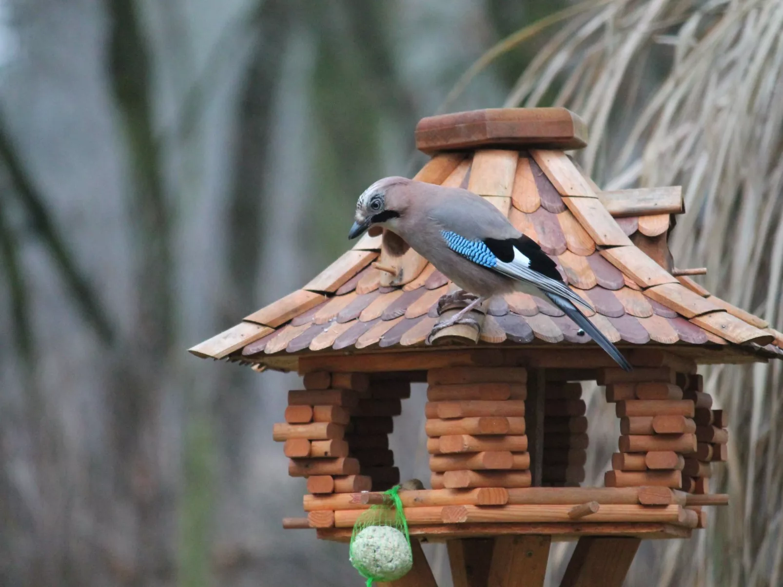 Bungalow Waldidyll-Inside