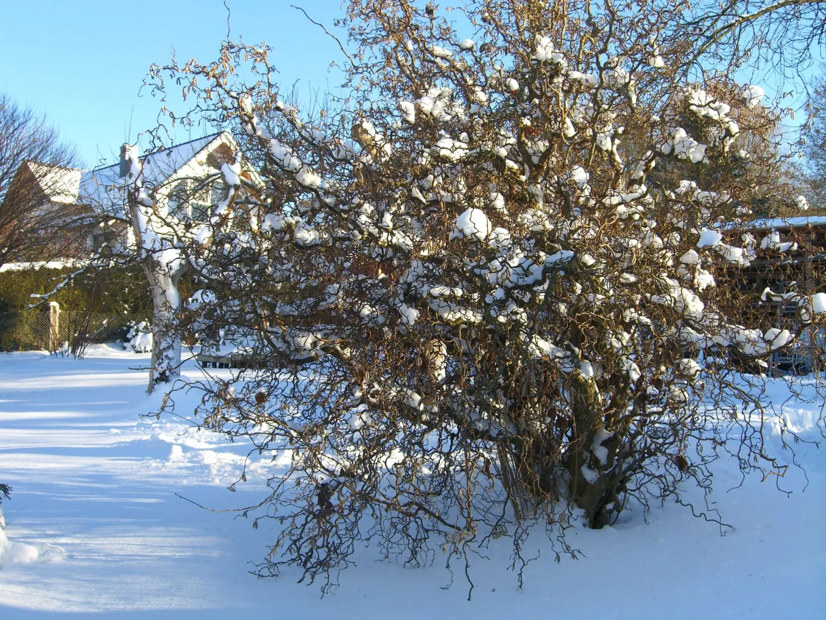 Gemütliches Ferienhaus in Fischbach Rhön-Inside