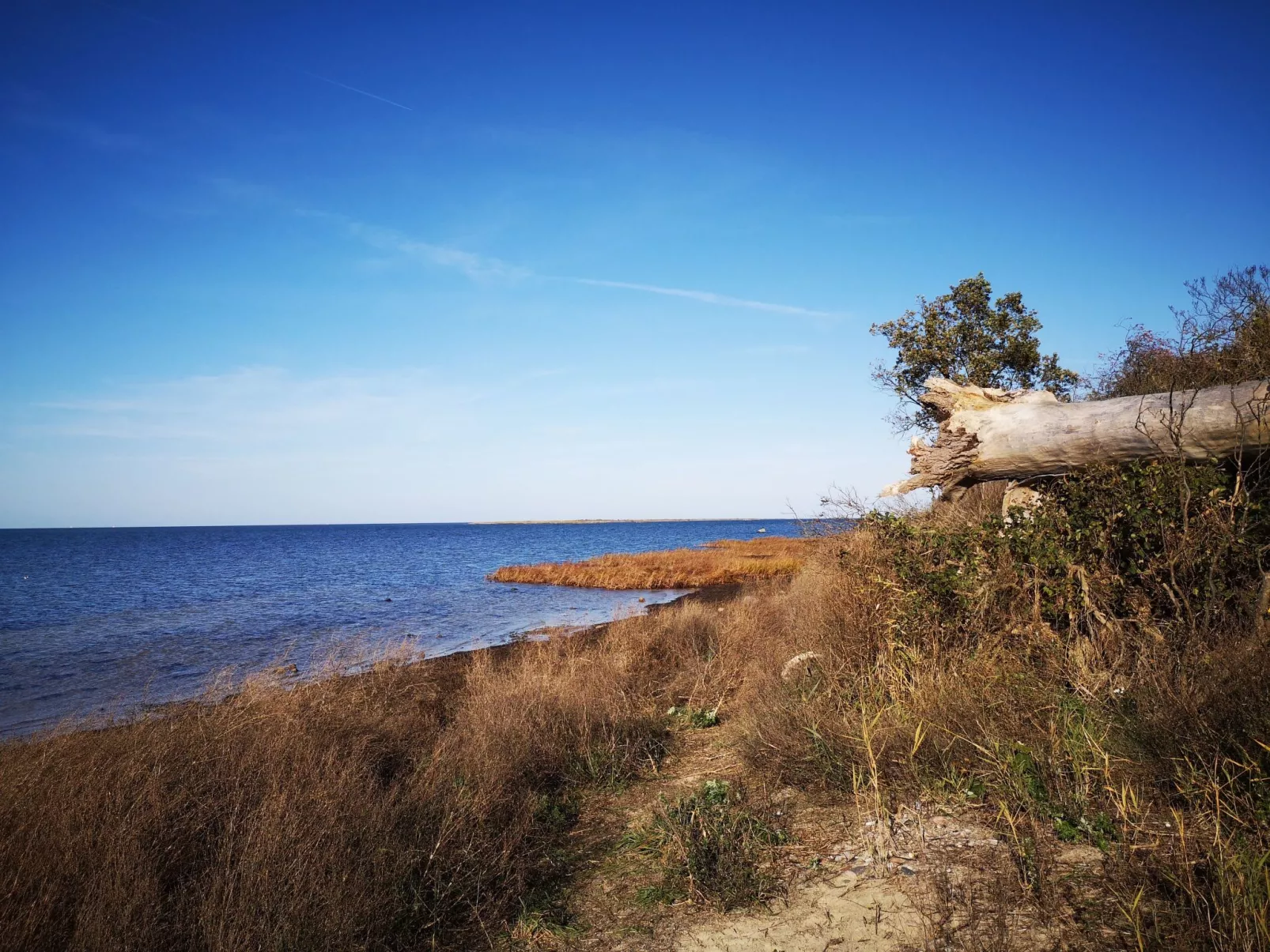 FH Salzhaff-Urlaub-Inside
