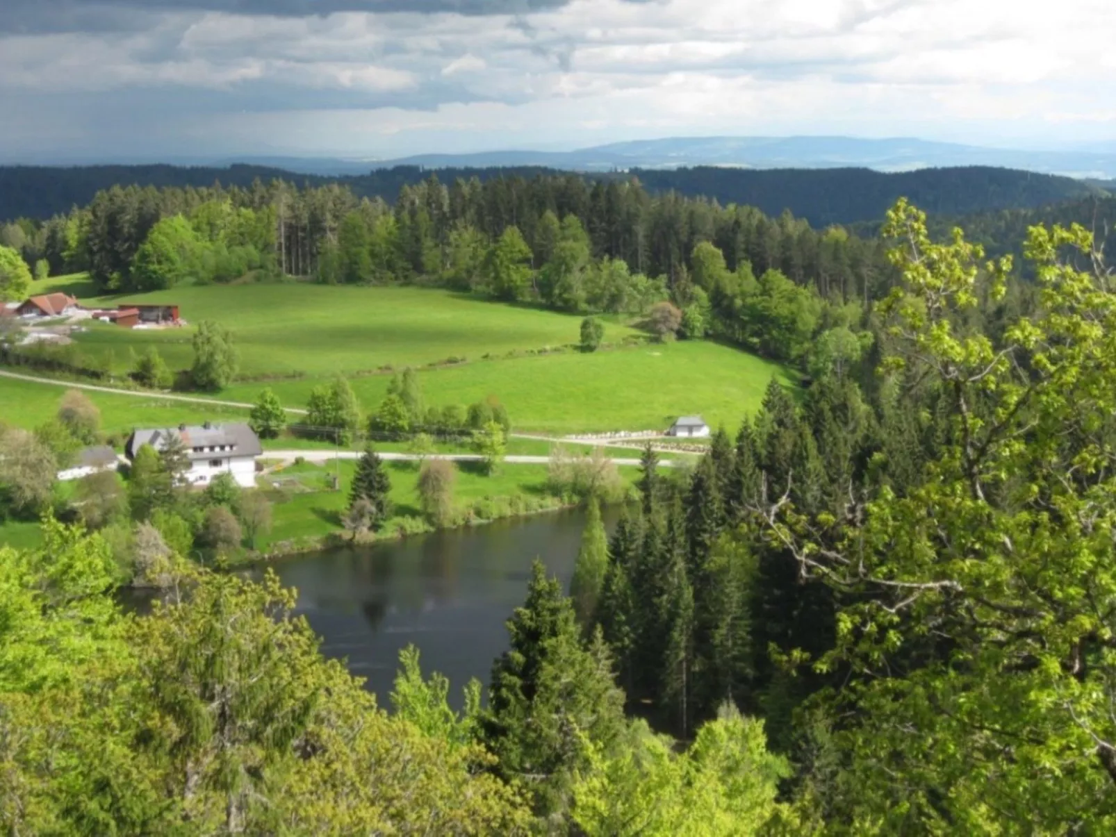 Appartement in Wittenschwand-Dedans