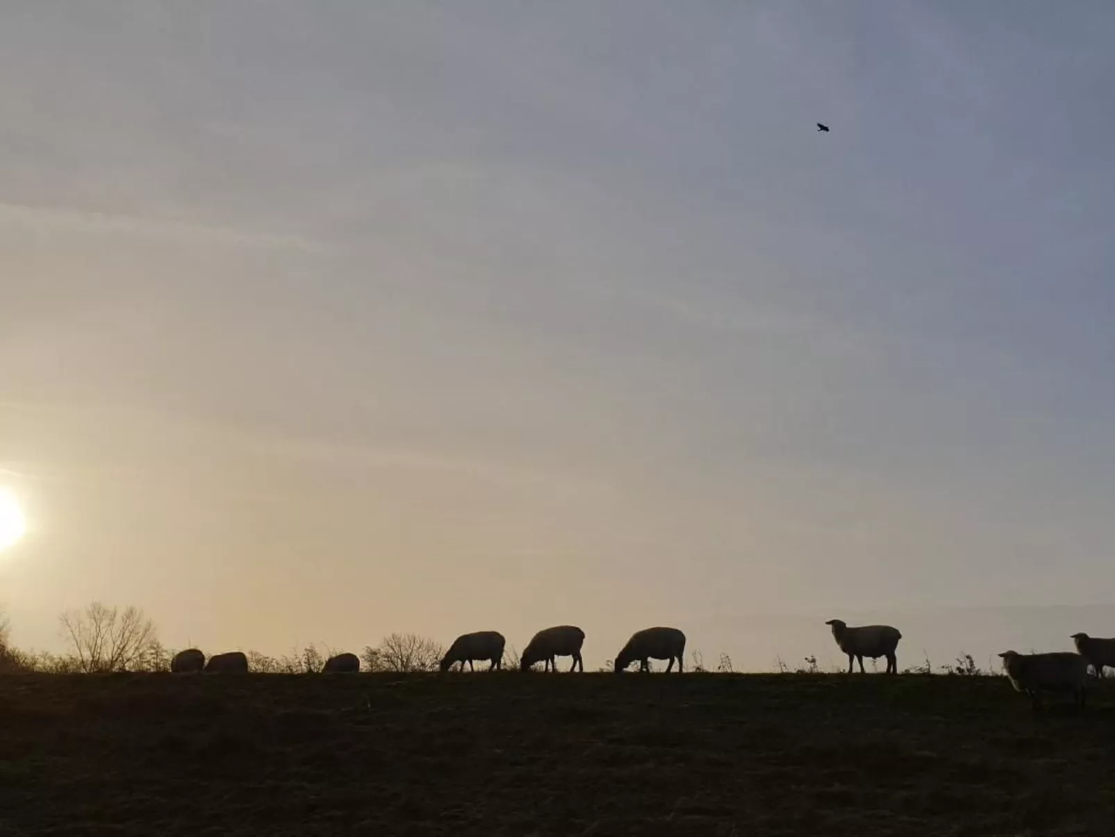 Elbkoje Brunsbüttel-Dedans