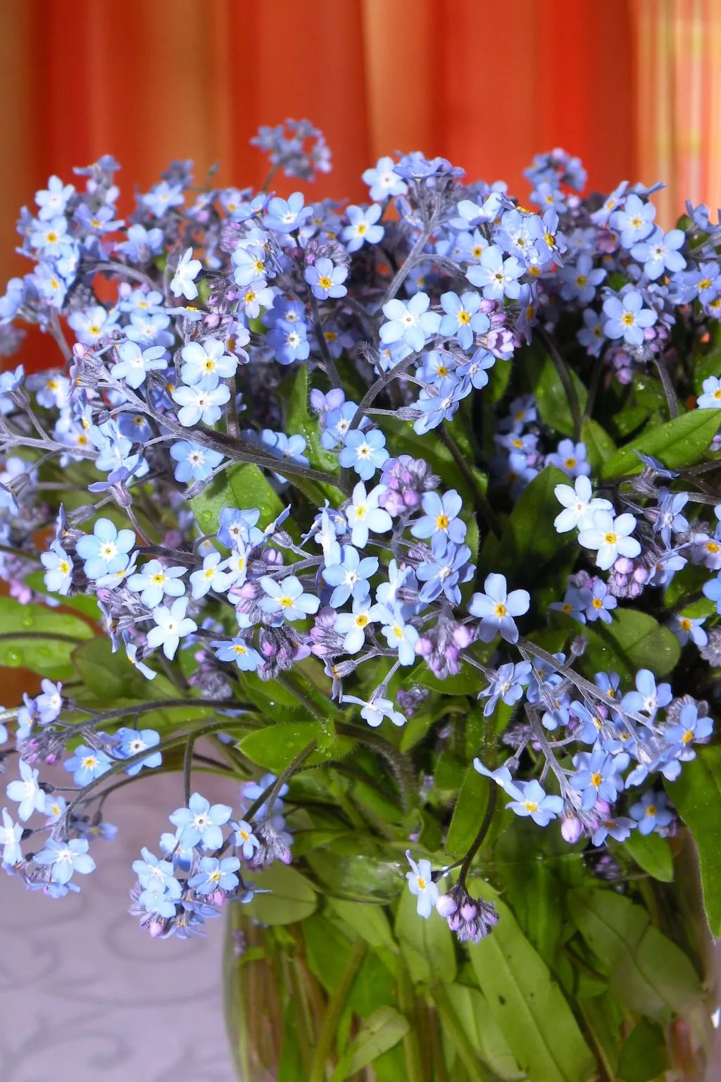 Modernes Ferienhaus in Granitzen mit Grill-Dedans