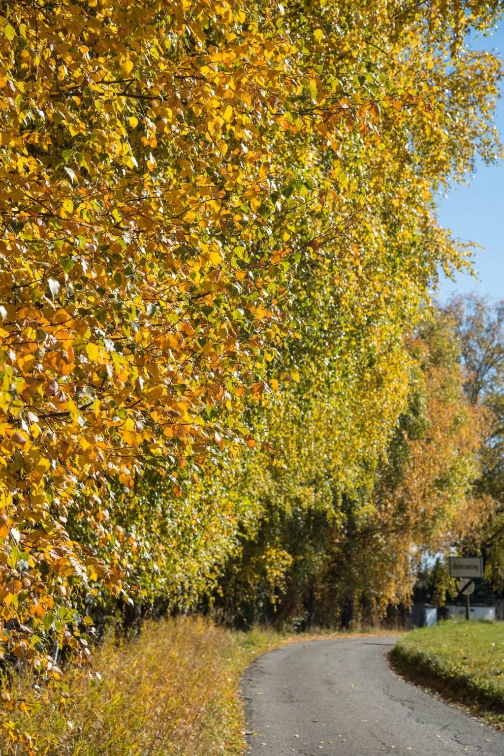 Moderne Wohnung in Pöls mit großer Terrasse-Inside